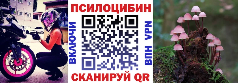 Галлюциногенные грибы Psilocybe  где продают наркотики  Ирбит 
