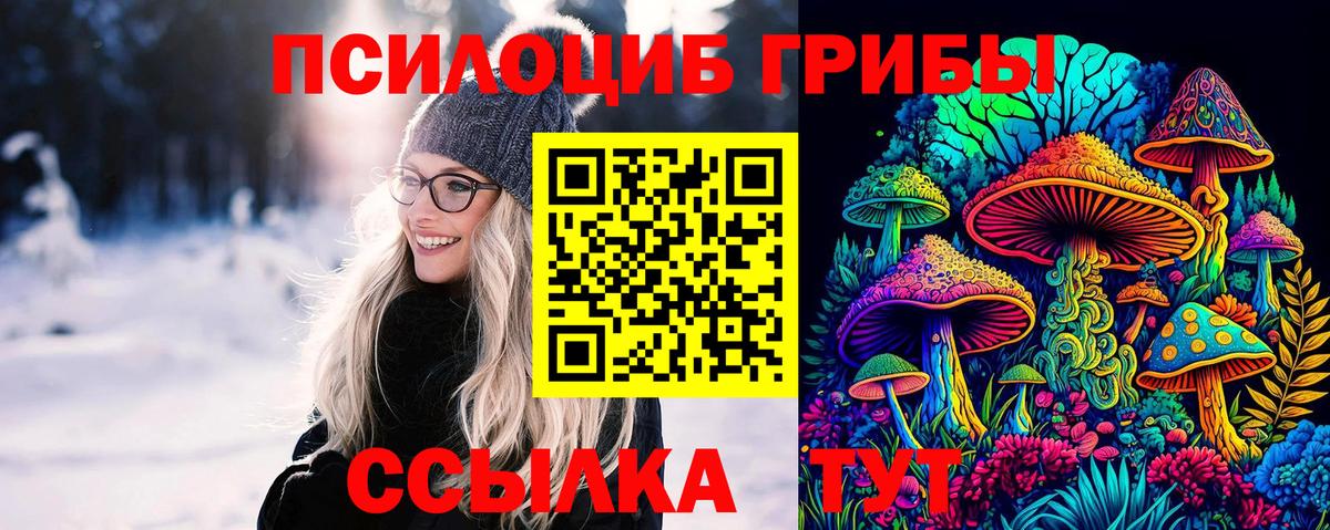 Галлюциногенные грибы Psilocybine cubensis  Вход с VPN  Псилоцибиновые грибы мухоморы  Ирбит 
